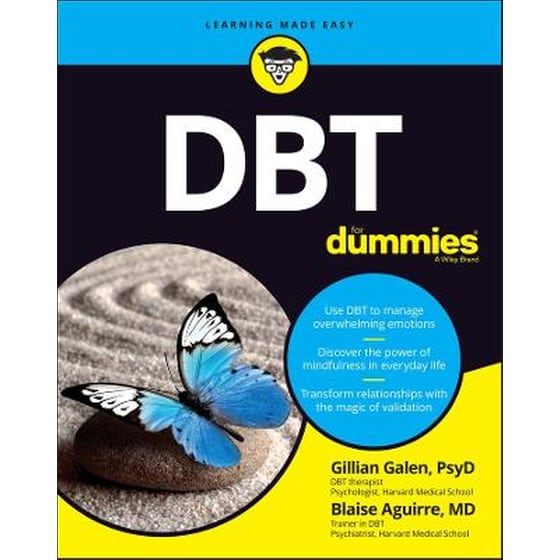 DBT For Dummies image 0