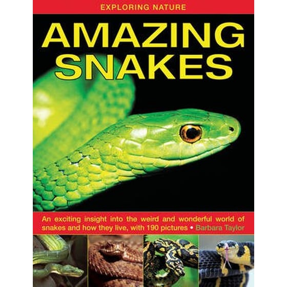 Exploring Nature- Amazing Snakes image 0