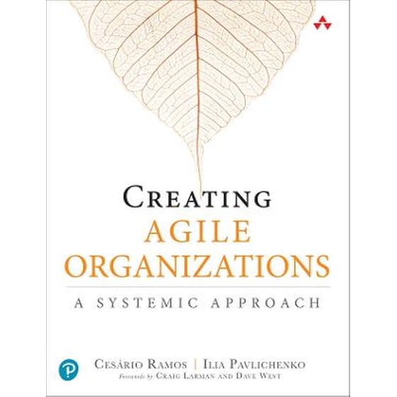 Creating Agile Organizations image 0