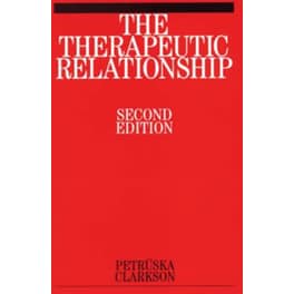 The Therapeutic Relationship
