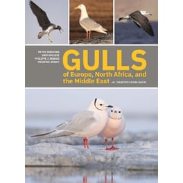 Gulls of Europe, North Africa, and the Middle East