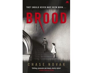 Brood image 0