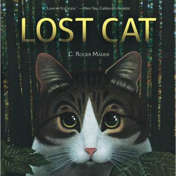 Lost Cat image 0