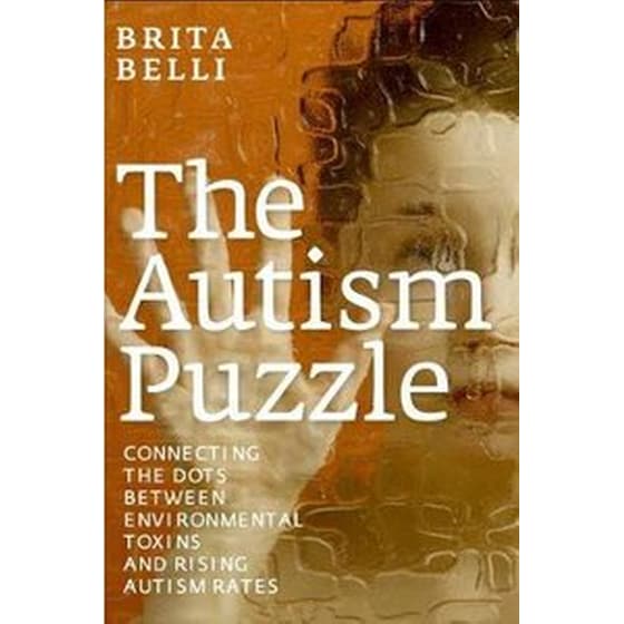 The Autism Puzzle image 0