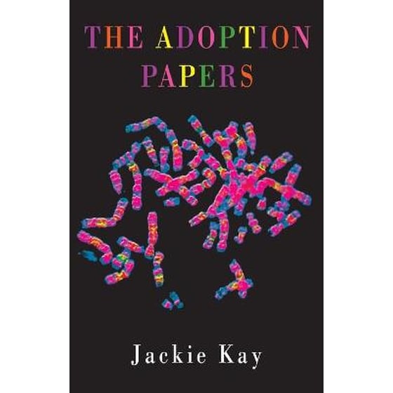 The Adoption Papers image 0