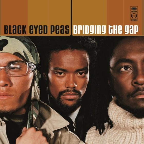 Bridging The Gap (2LP) image 0