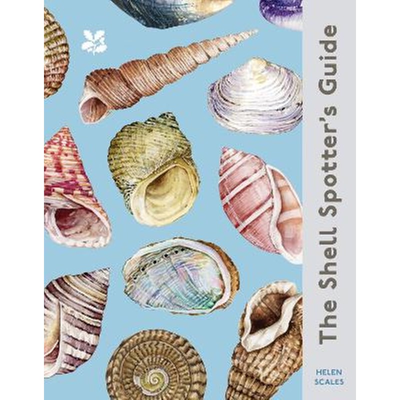 The Shell Spotter’s Guide