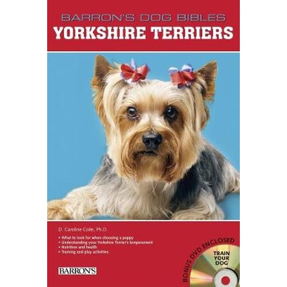 Yorkshire Terriers image 0