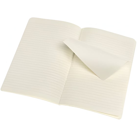 Σημειωματάριο Moleskine Ριγέ Πράσινο Large (2 Τεμάχια) image 1
