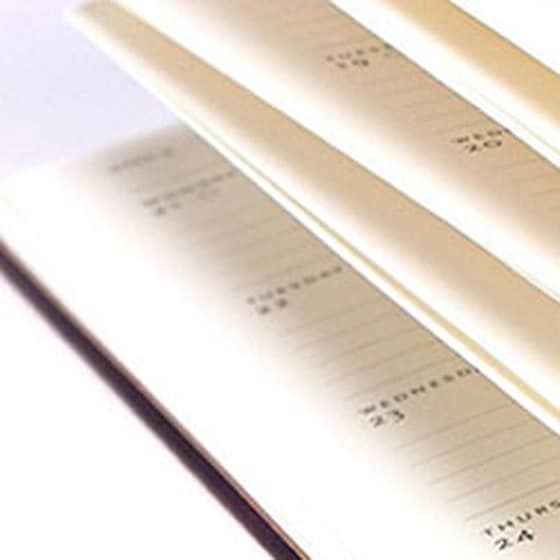 ΗΜΕΡ. 2027 ΕΒΔ. SLIM GOLD. AGE OF PROSP. image 1