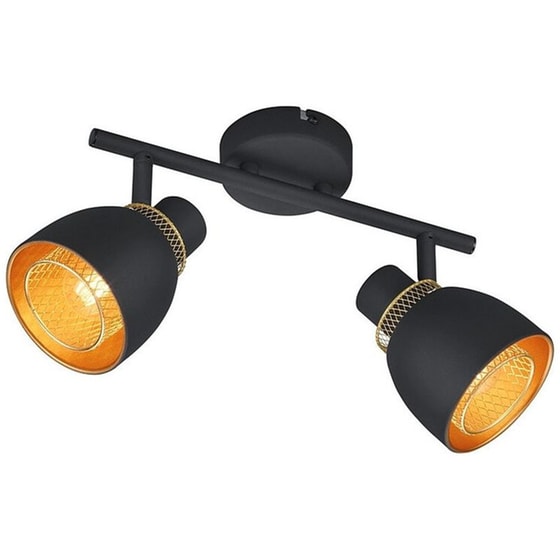Σποτ Δίφωτο Reality Lighting Punch Black Mat image 0