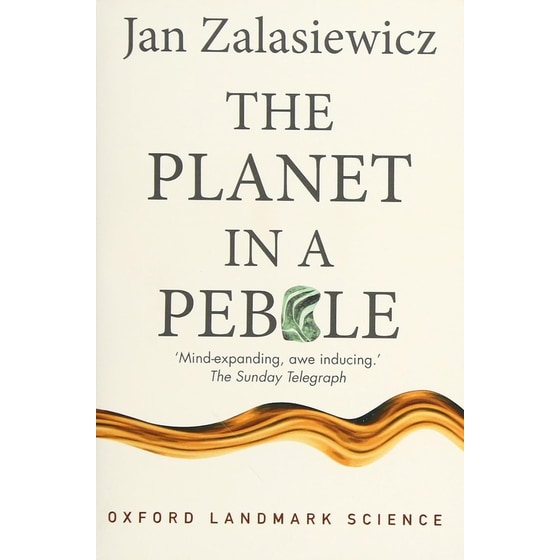 The Planet in a Pebble image 0