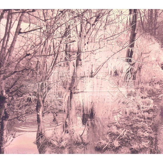 Violet Cries image 0