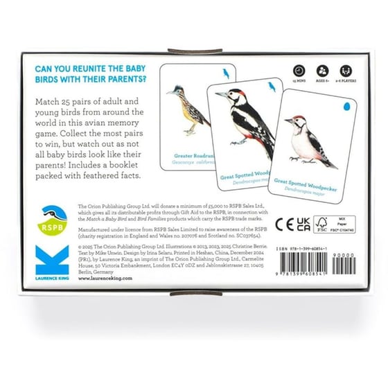 Match a Baby Bird image 4