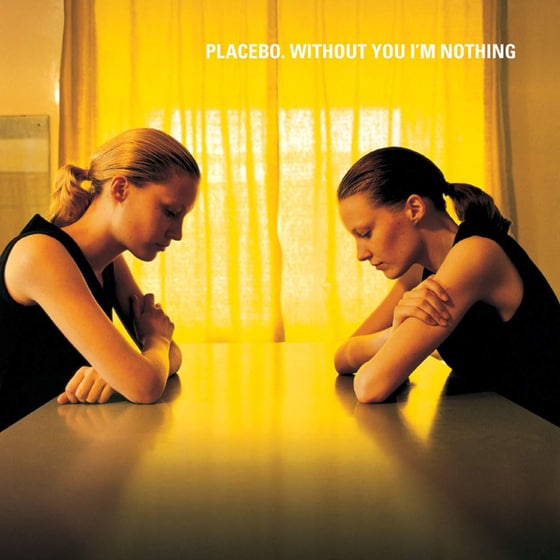 Without You I'm Nothing image 0