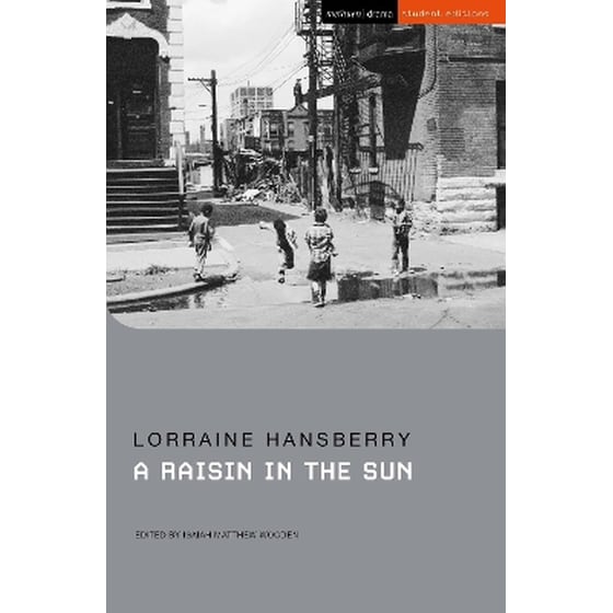 A Raisin in the Sun image 0