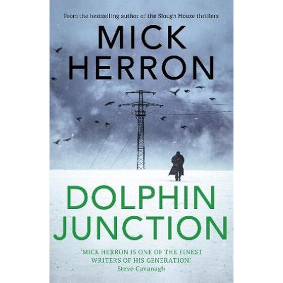 Dolphin Junction image 0