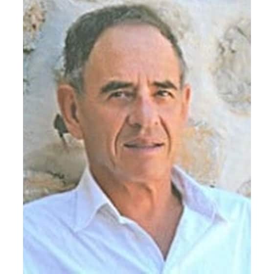 Άμεση δημοκρατία image 1