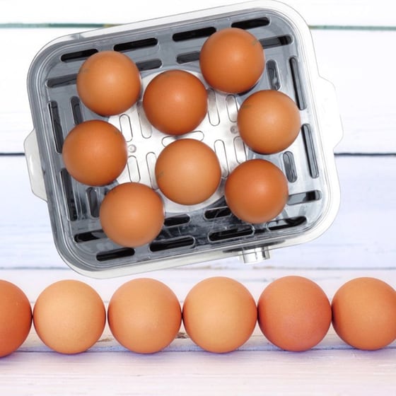 Αυγοβραστήρας FIRST AUSTRIA FA-5115-3-GR 500 W Γκρι image 2