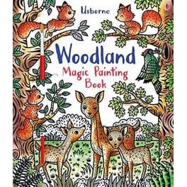 Woodland Magic Painting Book