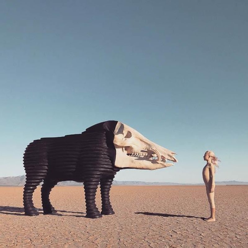 Dreaming Hunting In The Valley (Pink / Loser Editi