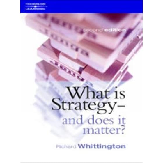 What Is Strategy and Does It Matter? image 0