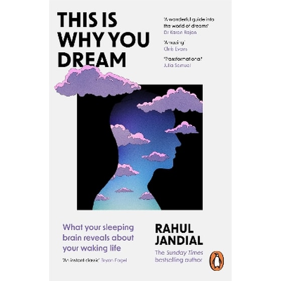 This Is Why You Dream image 0