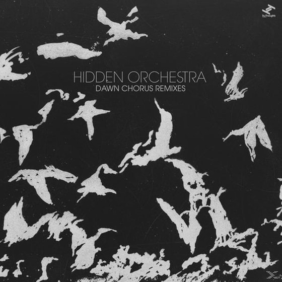Dawn Chorus Remixes (2lp+Mp3) image 0