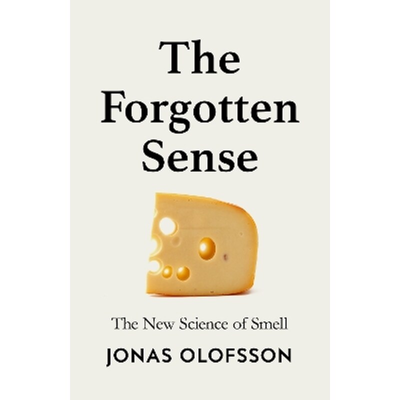 The Forgotten Sense