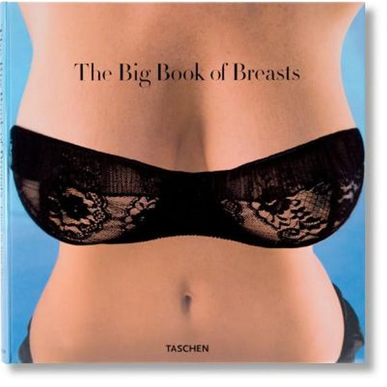 The Big Book of Breasts image 0