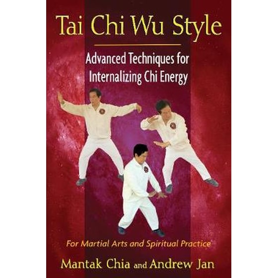 Tai Chi Wu Style image 0
