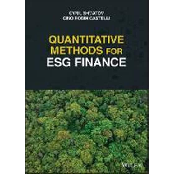 Quantitative Methods for ESG Finance image 0