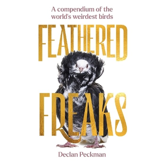 Feathered Freaks image 0
