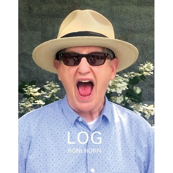 Roni Horn: LOG image 0