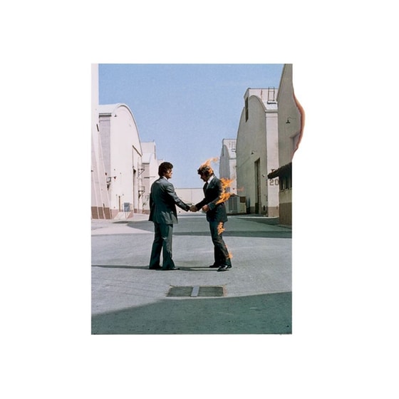 Wish You Were Here (LP) image 0
