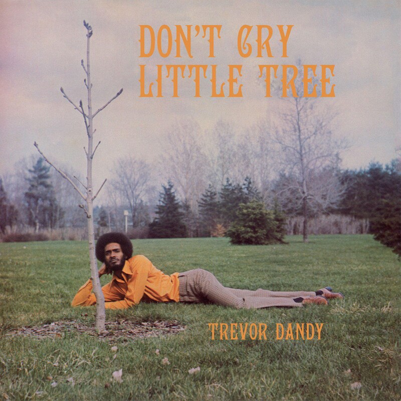 Dont Cry Little Tree