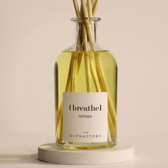Diffuser Ambientair The Olphactory Oxygen 100ml - Breathe image 1