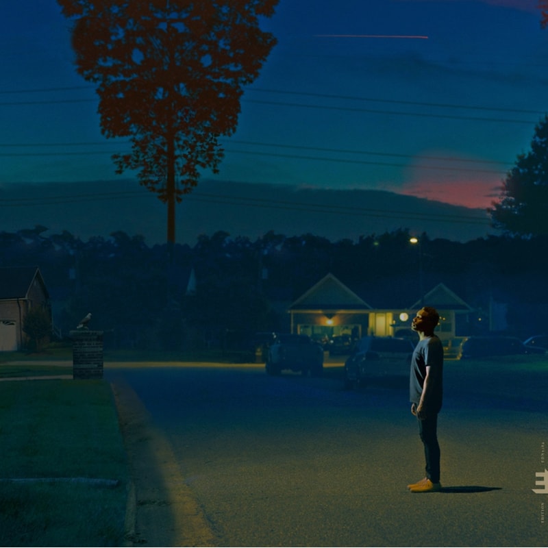 Kinfolk 2: See The Birds