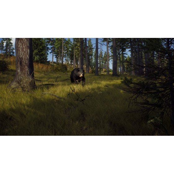 Way of the Hunter - PC image 3
