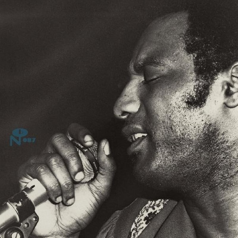 Trying To Survive (Indies Only)