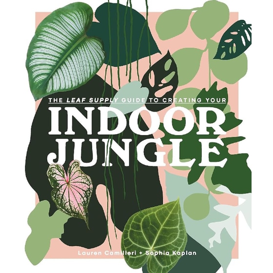 The Leaf Supply Guide to Creating Your Indoor Jungle image 0