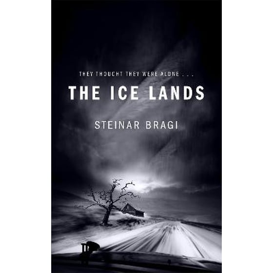 The Ice Lands image 0
