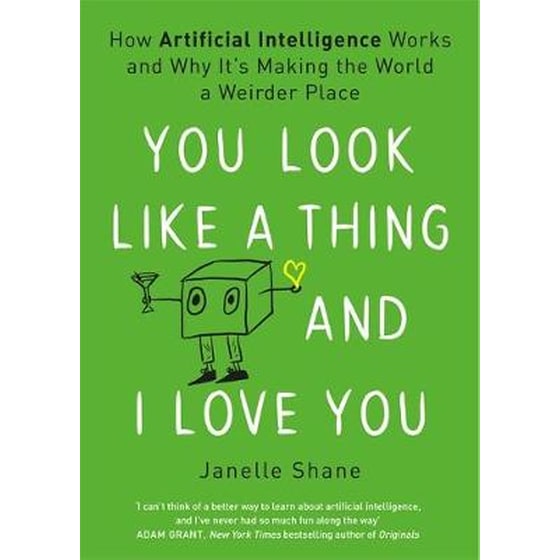 You Look Like a Thing and I Love You image 0