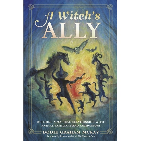 A Witch's Ally image 0