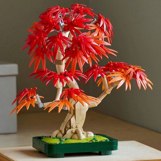 LEGO® Botanicals Japanese Red Maple Bonsai Tree (10348) image 1