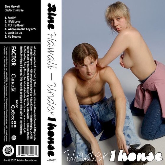 Under 1 House (White LP) image 0