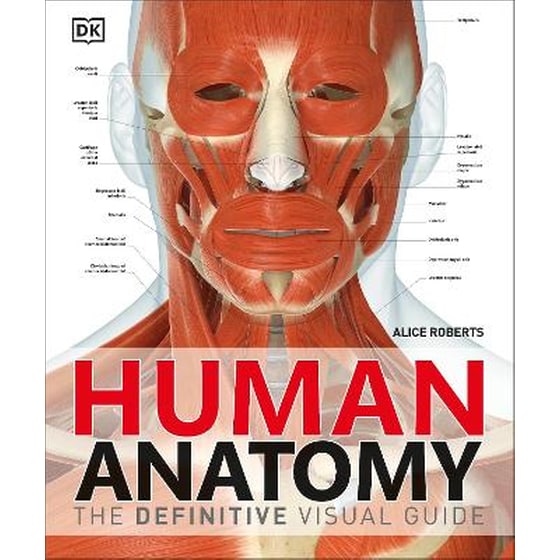 Human Anatomy image 0