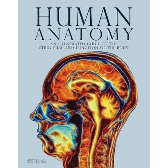 Human Anatomy image 0
