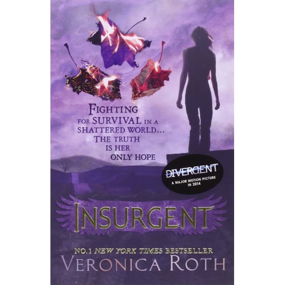 Divergent Series Box Set (Books 1-4) Books 1-4 image 2
