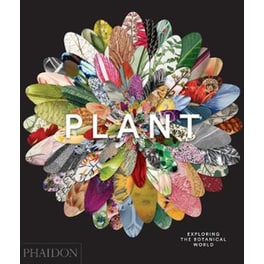 Plant- Exploring the Botanical World